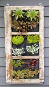 A salvaged window makes a great garden element