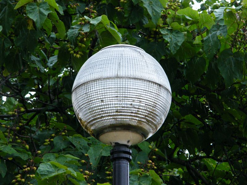Original street lamp pictured here in Paris