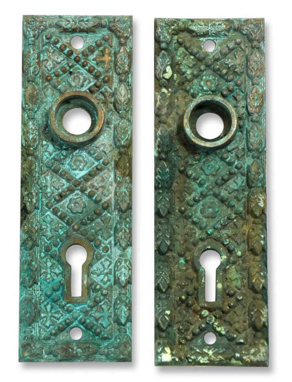 Pair of Detailed Bronze Back Plates