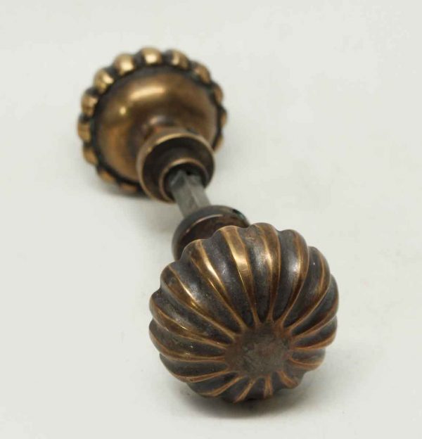 Fluted Bronze Scalloped Knob Set
