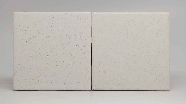 Pair of White Speckled Square Tiles