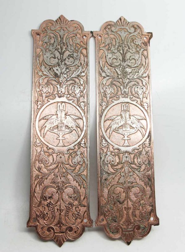 Beautiful Detailed Push Plates with Double Bird & Urns