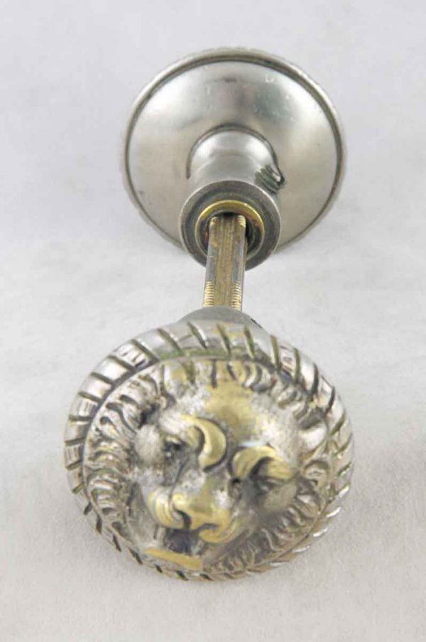Lion Head Nickel Over Bronze Knob - Door Knobs