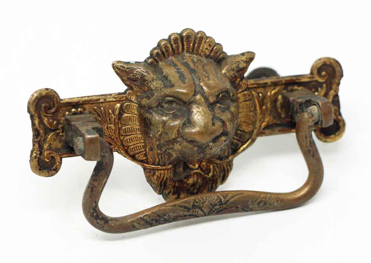 Antique Pressed Brass Lion Head Pull Olde Good Things