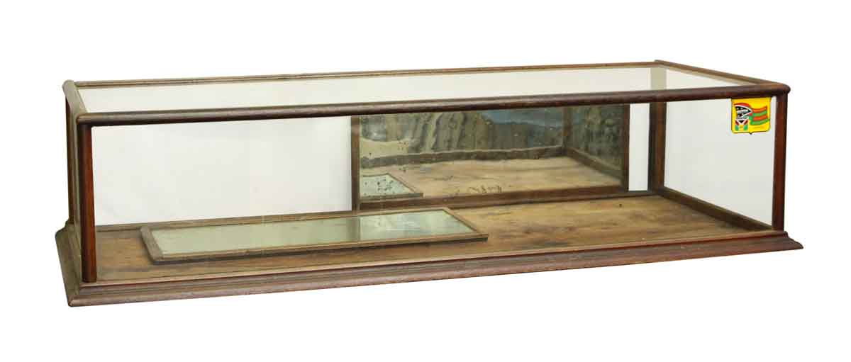 Antique Counter Table Top Display Case Olde Good Things