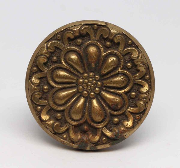 Door Knobs - Brass Radial Flower Door Knob