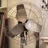 Fans - N258222