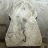 Stone & Terra Cotta for Sale - N260355