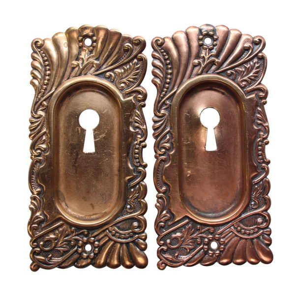 Pocket Door Hardware - Pair of Polished Brass Roanoke Pocket Door Plates