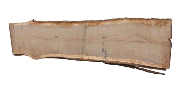 Live Edge Wood Slabs - 16 Foot Walnut Wood Slab 4F