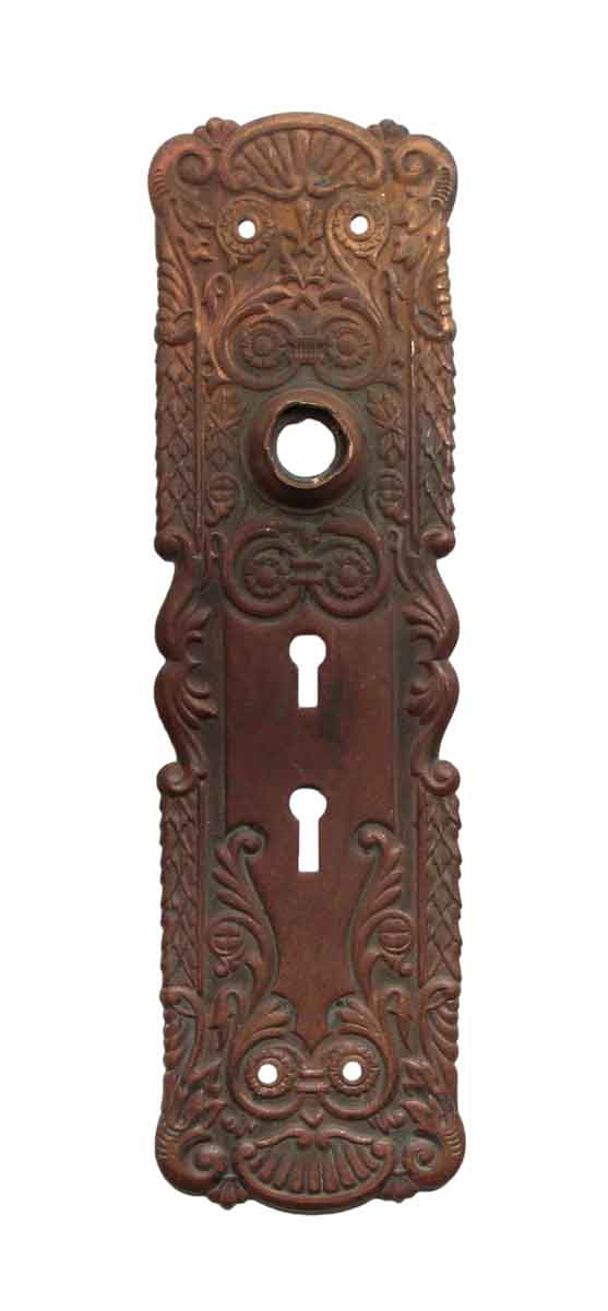 Back Plates - Victorian 9.75 in. Double Keyhole Brass Door Back Plate