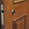 Standard Doors - P251453