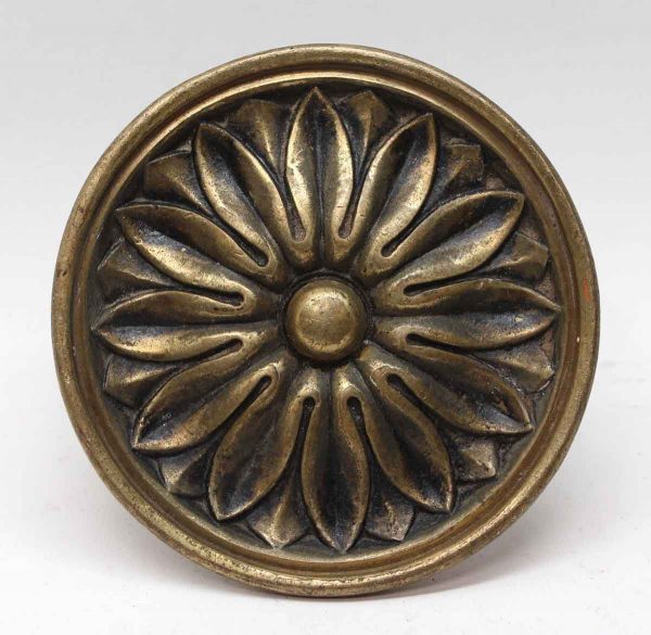 Cabinet & Furniture Knobs - Large Floral Brass Cabinet Pull