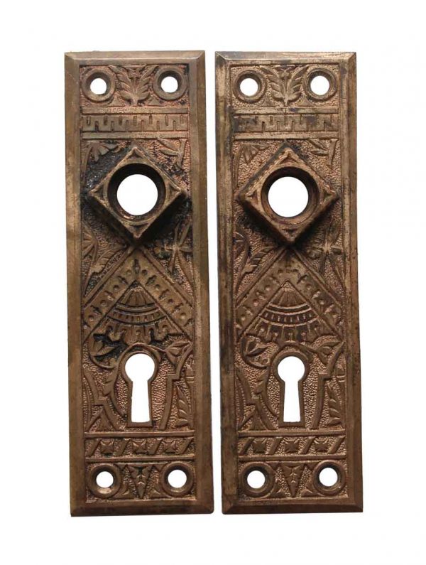 Back Plates - Aesthetic Pair of Brass 5.75 in. Passage Door Back Plates