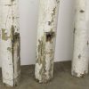 Columns & Pilasters - P264019