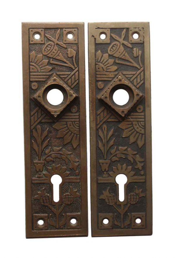 Back Plates - Pair of 5.75 in. Aesthetic Brass Door Back Plates