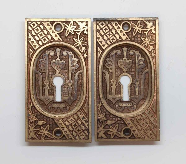 Pocket Door Hardware - Antique Aesthetic Bronze Pair of Pocket Door Plates