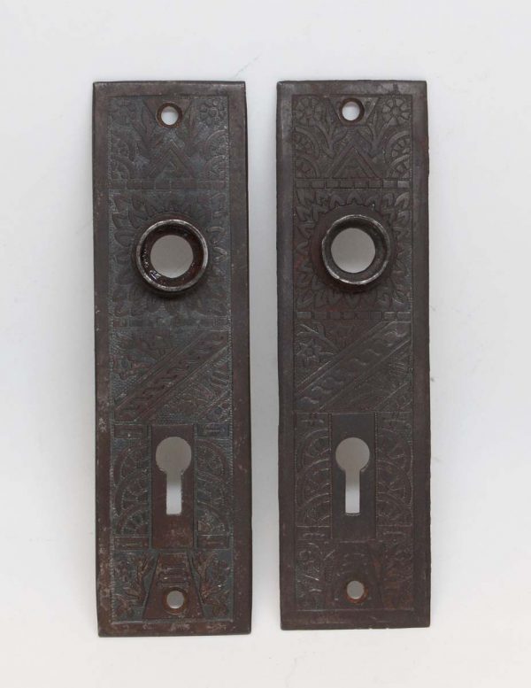 Back Plates - Pair of Aesthetic 5.5 in. Cast Iron Door Back Plates