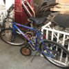 Bicycles - L206561