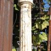 Columns & Pilasters - Q272435