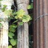 Columns & Pilasters - Q272437