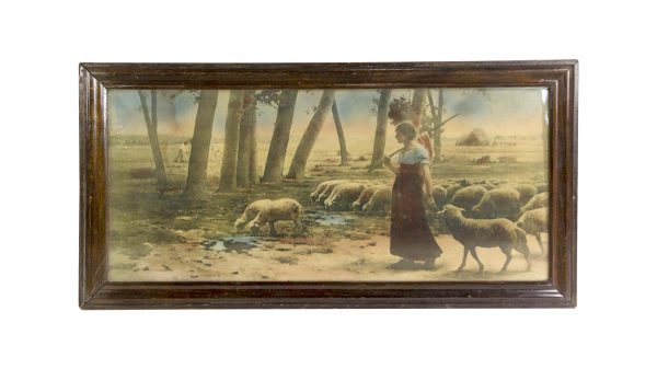 Prints - Vintage Sheep Herding Wood Framed Print