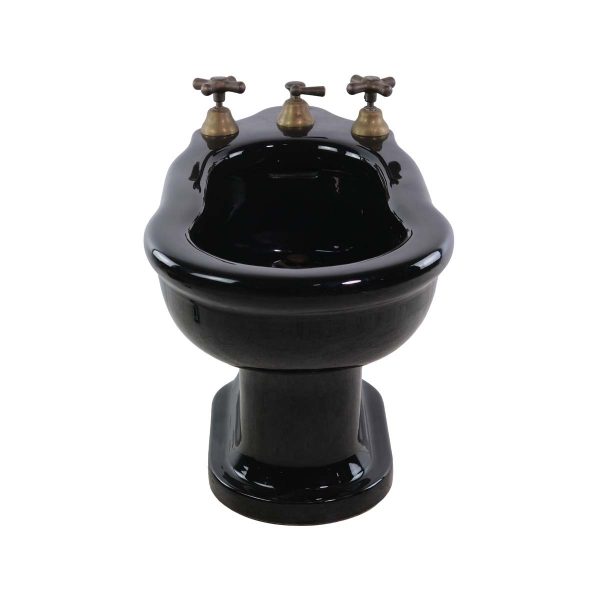 Bathroom - Black Porcelain Bidet with Brass Hardware