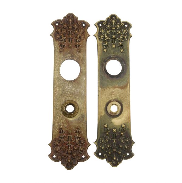 Back Plates - Antique Pair of Victorian Bronze 12.5 in. Door Back Plates