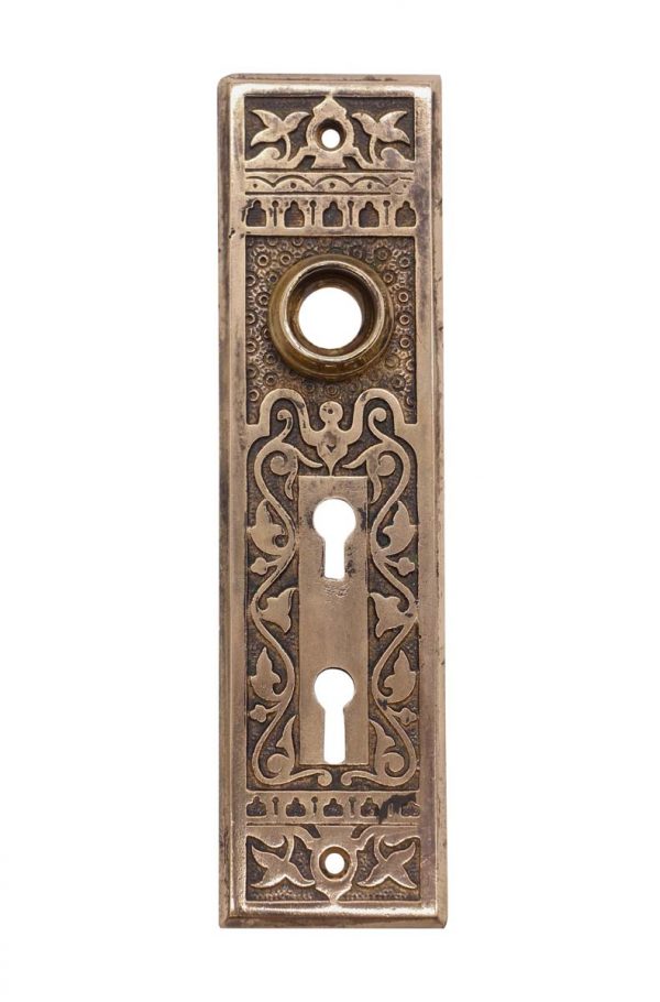 Back Plates - Polished Bronze Aesthetic Double Keyhole 7.125 in. Door Back Plate