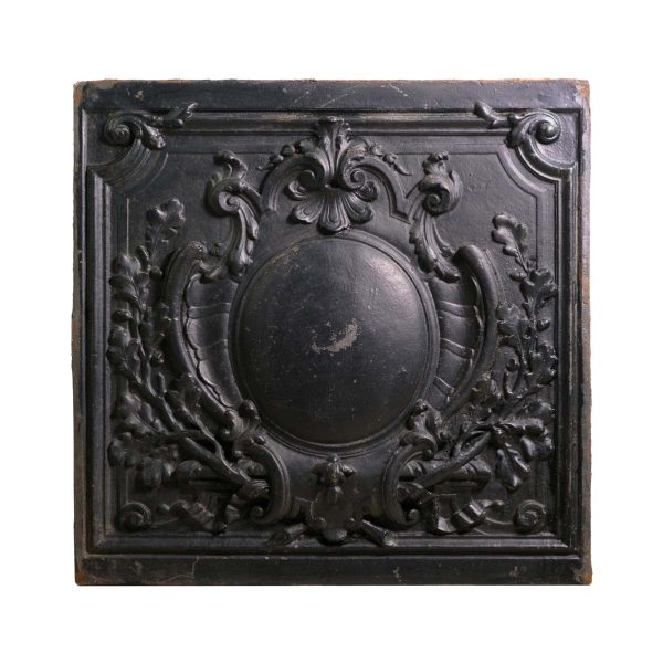 Decorative Metal - 19th Century Heavy Solid Cast Iron Fireback with Medallion Motif