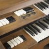 Musical Instruments for Sale - Q279187