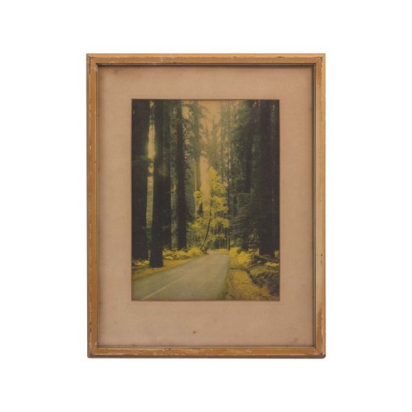 Photographs - 1940s Framed Sequoia National Park Photograph