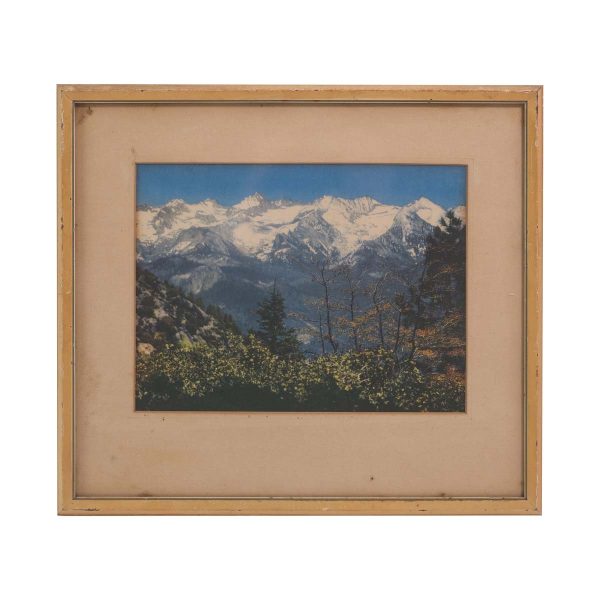 Photographs - 1940s Sequoia National Park Framed Photograph