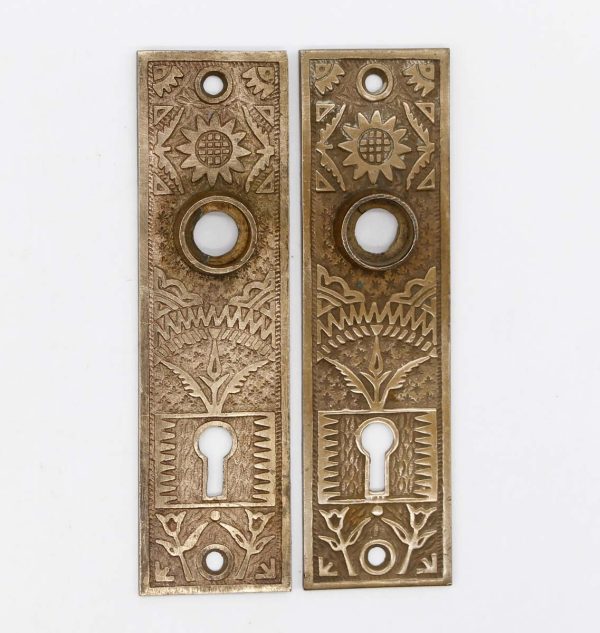 Back Plates - Pair of 5.375 in. Aesthetic Bronze Keyhole Door Back Plates
