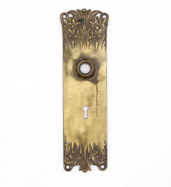 Back Plates - Antique 9 in. Romanesque Bronze Door Back Plate with Keyhole
