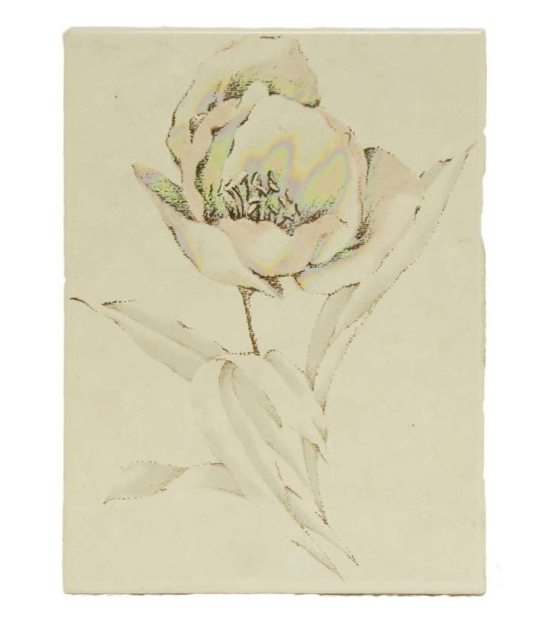 Wall Tiles - Vintage White Iridescent Rose 8 x 6 Wall Tile