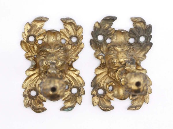 Curtain Hardware - Pair of Ornate Brass Lion Head Brackets