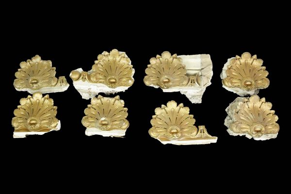 Interior Materials - Lot of Plaster Gold Painted Shell Architectural Ornaments