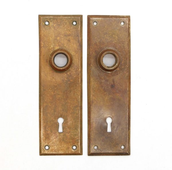 Back Plates - Pair of Vintage 7 in. Brass Door Back Plates