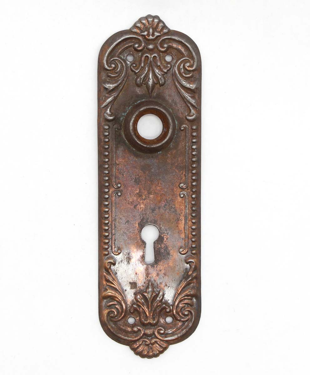 Victorian door deals backplates