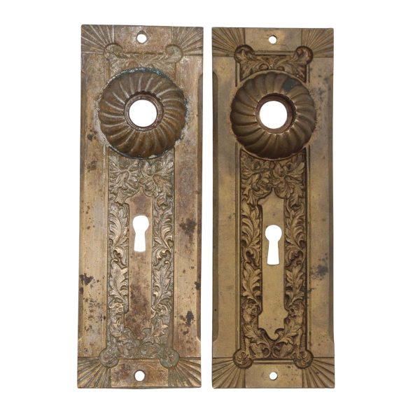 Back Plates - Pair of Antique 7.125 in. Bronze Fanciful Beast Door Back Plates