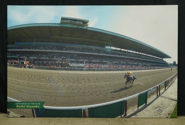 Prints - Belmont Park 2009 Horse of The Year Rachel Alexandra Canvas Print