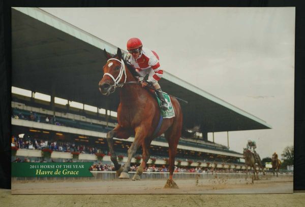 Prints - Belmont Park 2011 Horse of The Year Havre de Grace Canvas Print