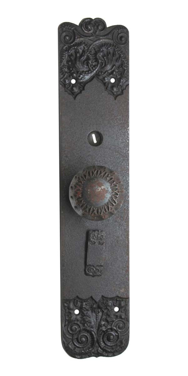 Door Knob Sets - Cast Iron Thistle Design Back Plate with Concentric Door Knob